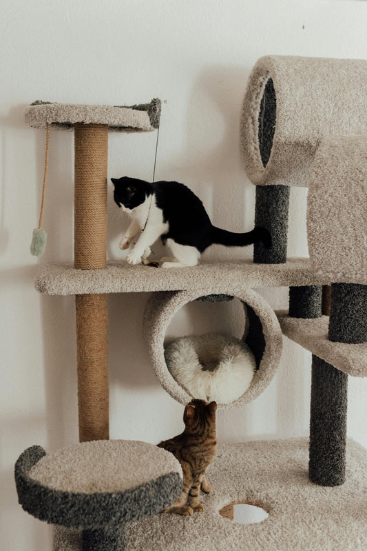 Cat Tree